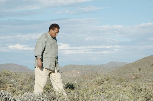 Muzicianul american Wayne Shorter, considerat unul dintre cei mai mari compozitori de jazz, a murit la 89 de ani 