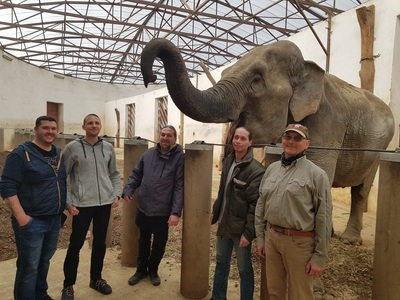 Îngrijitori de elefanţi din străinătate au vizitat Grădina Zoologică din Târgu Mureş 