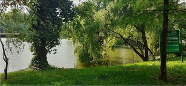 Primarul general al Capitalei anunţă instalarea unui sistem modern de irigaţie în Parcul Carol I