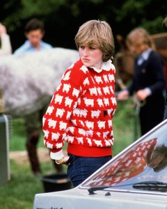 Celebrul pulover roşu de lână decorat cu oi, purtat de Prinţesa Diana în 1981, a fost vândut la peste un milion de dolari