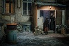 Filmul „Sabina”, regizat de John Grooters, cu distribuţie exclusiv românească, în curând în cinema. Producător român: „Personajul principal este unul de o tărie inimaginabilă în contextul zilelor noastre în care libertatea este o chestiune aproape garanta