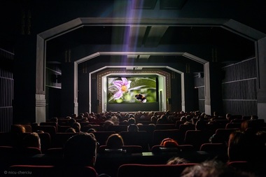Cel mai vechi cinematograf din ţară împlineşte 110 ani şi va marca momentul cu proiecţia unui film distins cu opt premii Oscar - FOTO