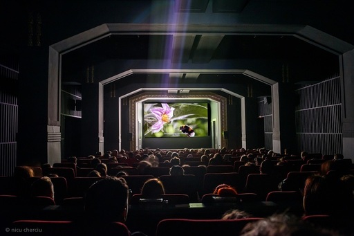 Cel mai vechi cinematograf din ţară împlineşte 110 ani şi va marca momentul cu proiecţia unui film distins cu opt premii Oscar - FOTO