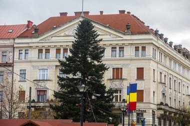 Bradul de Crăciun, instalat în Piaţa Unirii din Cluj-Napoca - FOTO