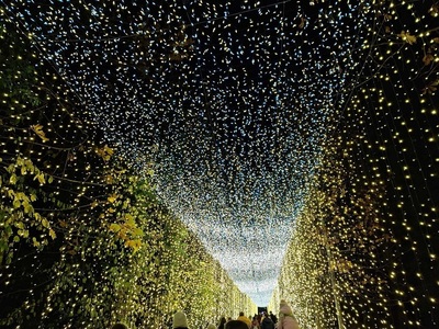 Zeci de vizitatori au trecut, de Ziua Naţională, prin cel mai lung tunel de lumini din Europa instalat în Gradina Botanică din Bucureşti - FOTO