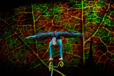 Cirque du Soleil va susţine la Bucureşti, în perioada 15-18 februarie 2024, spectacolul „Ovo”