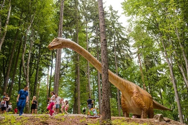 Dino Parc Râşnov participă la activităţi educaţionale gratuite pentru elevi şi profesori în cadrul programelor naţionale Şcoala Altfel şi Săptămâna Verde
