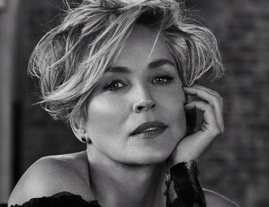 Incendii în Los Angeles - Sharon Stone a anunţat că primeşte victime ale incendiului în casa ei/ VIDEO