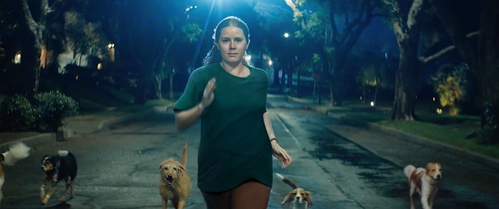 Filmul „Nightbitch”, cu Amy Adams, este disponibil pe Disney+/ VIDEO