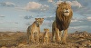 Box Office - "Mufasa" ajunge la venituri de 671 de milioane de dolari la nivel global. Documentarul "Becoming Led Zeppelin", debut impresionant - VIDEO