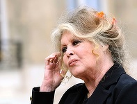 Brigitte Bardot, într-un interviu televizat ia apărarea actorilor acuzaţi de agresiuni sexuale Bedos şi Depardieu: \