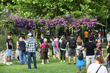 West Side Flower Fest se deschide în Parcul Drumul Taberei - 15 grădini inspirate din cărţi, decoraţiuni de până la cinci metri înălţime, proiecţii pe apă şi peste 100.000 de flori