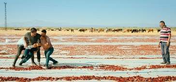 „One Of Those Days When Hemme Dies”, de Murat Fıratoğlu, a câştigat Trofeul ANONIMUL 2025
