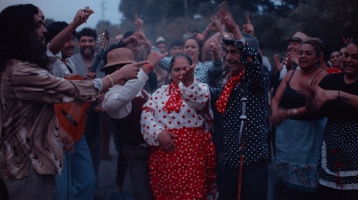 Filme dedicate dansului, prezentate la Berlinale, Sundance şi San Sebastián, se văd între 11 şi 14 septembrie la Bucureşti