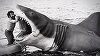 Box office - „Weapons” a revenit pe locul 1, în timp ce relansarea filmului „Jaws” cu ocazia celei de-a 50-a aniversări a depăşit „Caught Stealing” şi „The Roses”/ VIDEO