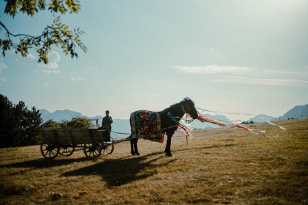 „Catane”, debutul regizoral în lungmetraj de ficţiune al Ioanei Mischie, va fi lansat în cinematografe din 26 ianuarie 2026 