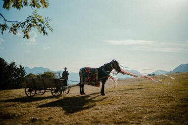 „Catane”, debutul regizoral în lungmetraj de ficţiune al Ioanei Mischie, va fi lansat în cinematografe din 26 ianuarie 2026 