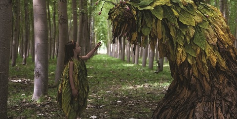 Lungmetraje şi scurtmetraje centrate pe personaje feminine din realitatea Spaniei rurale, în programul Institutului Cervantes