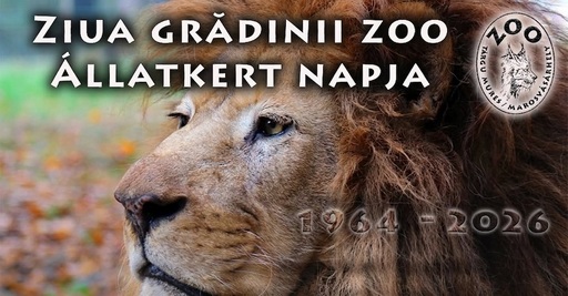 Publicul va putea asista la hrănirea cerbilor lopătari, tigrilor şi liliecilor de la Grădina Zoologică din Târgu Mureş/ Intrare liberă şi program nocturn