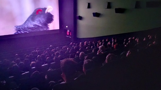 Alpin Film Festival - Alpinistul Horia Colibăşanu va vorbi despre ascensiunea pe Nanga Parbat, la Centrul Cultural Reduta