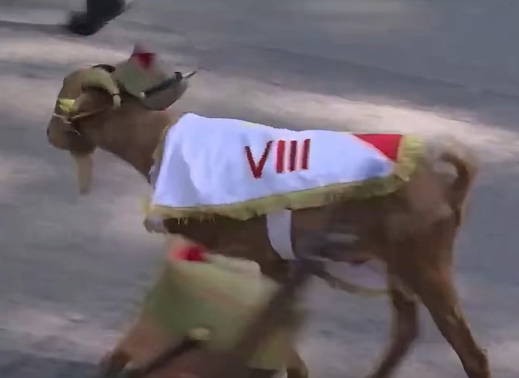 Ziua Naţională a Spaniei - Babieca, capra Legiunii VIII, întâmpinată cu aplauze la parada din 12 octombrie/ VIDEO