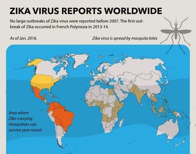 Google colaborează cu UNICEF pentru a alcătui o hartă care monitorizează răspândirea virusului Zika