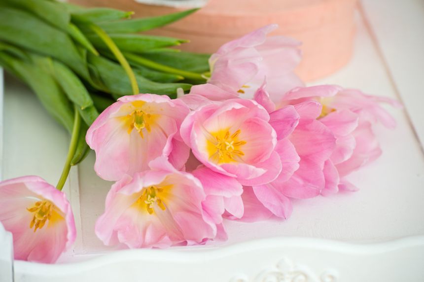 Mai mult de şase din zece români sărbătoresc Ziua Femeii, iar cadourile cel mai frecvent oferite sunt florile - studiu