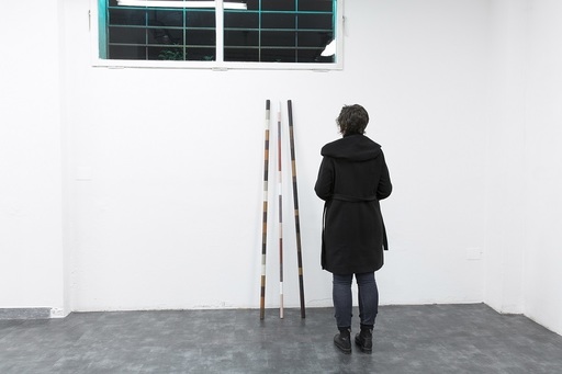 Proiecte multimedia româneşti, la târgul de artă contemporană Poppositions de la Bruxelles