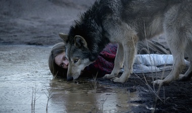 TIFF 2016: Zece filme participă în secţiunea #Animal