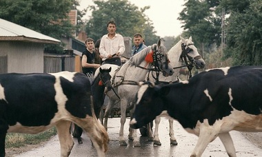 Şase producţii româneşti vor avea premiera mondială la Festivalul Internaţional de Film Transilvania
