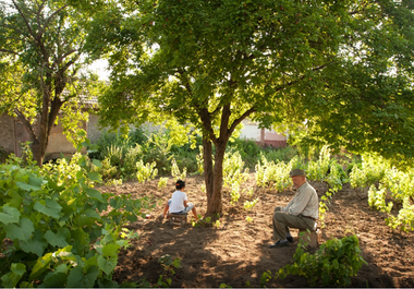 Filmul ”Câinele japonez”, de Tudor Cristian Jurgiu, reprezintă România la festivalul EU Film Days de la Tokyo