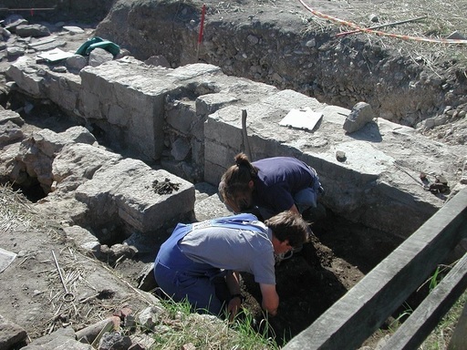 Ministerul Culturii poate acorda între 10.000 şi 50.000 de lei pentru proiecte de cercetare arheologică