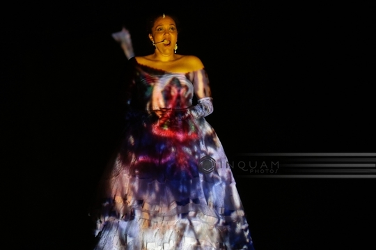 Noaptea Institutelor Culturale (Foto: Inquam Photos Octav Ganea)