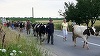REPORTAJ - ”Brâncuşi e al meu”, pentru ţăranii din Teleorman şi Giurgiu: De la ”Curăţenia Pământului” la banii lui Ţiriac. FOTO