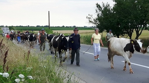 REPORTAJ - ”Brâncuşi e al meu”, pentru ţăranii din Teleorman şi Giurgiu: De la ”Curăţenia Pământului” la banii lui Ţiriac. FOTO