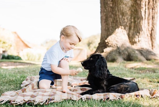 Prinţul George împlineşte trei ani. Familia Regală a Marii Britanii publică noi fotografii cu moştenitorul