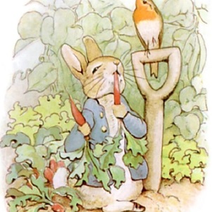 O ediţie princeps a cărţii pentru copii ”The Tale of Peter Rabbit”, de Beatrix Potter, vândută la licitaţie cu peste 51.000 de euro