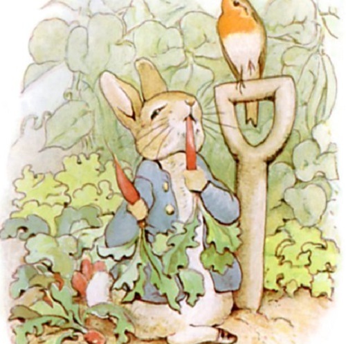 O ediţie princeps a cărţii pentru copii ”The Tale of Peter Rabbit”, de Beatrix Potter, vândută la licitaţie cu peste 51.000 de euro