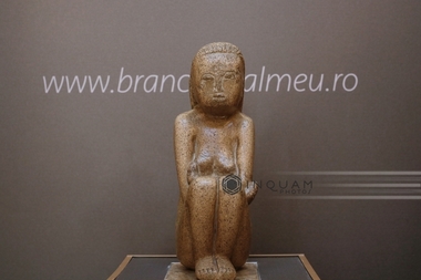 O licitaţie de artă şi un model 3D al ”Cuminţeniei Pământului”, modalităţi prin care muzee din România sprijină campania ”Brâncuşi e al meu”