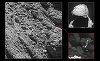Robotul Philae a fost suprins în imaginile realizate de sonda spaţială Rosetta