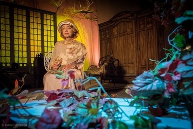 Festivalul Naţional de Teatru 2016: Proiecţie specială a spectacolului ”Livada de vişini”, după Anton Pavlovici Cehov