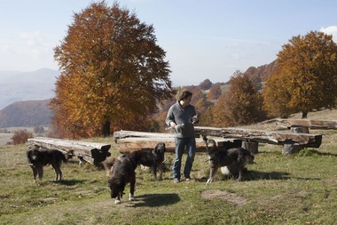 TVR difuzează duminică, în premieră, ultima parte a seriei ”Wild Carpathia”