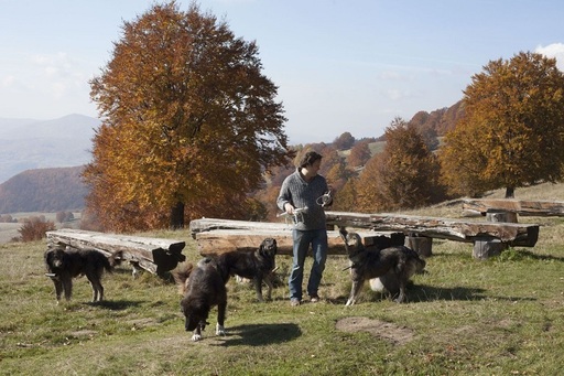 TVR difuzează duminică, în premieră, ultima parte a seriei ”Wild Carpathia”