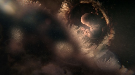 Postul BBC Earth prezintă seria documentară ”Nouă luni definitorii” din 8 octombrie