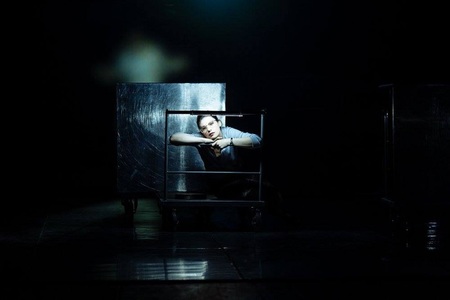 "Dansând în noapte", un spectacol după filmul lui Lars von Trier, se va juca duminică în Festivalul Naţional de Teatru
