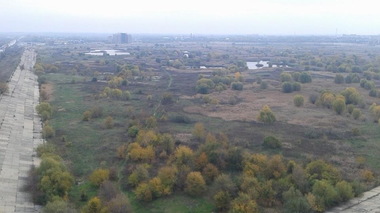 REPORTAJ - Parcul Natural Văcăreşti de pe strada Povestei. În sălbăticia urbană se găsesc "cannabis sativa", vidre, dar şi o familie cu 12 suflete care trăieşte aici de 18 ani