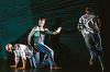 Spectacolele ”0002 | birdville” şi ”Între două pastile”, la Noaptea Lungă a Artelor Performative din Linz