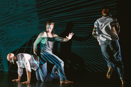 Spectacolele ”0002 | birdville” şi ”Între două pastile”, la Noaptea Lungă a Artelor Performative din Linz