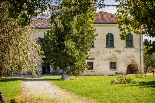 ”Palatul de Piatră” Udrişte Năsturel, estimat la 1.800.000 de euro, va fi scos la licitaţie la Artmark Historical Estate