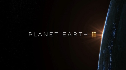 Producător BBC, despre ”Planet Earth II” al lui David Attenborough: Un dezastru pentru natura sălbatică a lumii